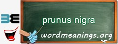 WordMeaning blackboard for prunus nigra